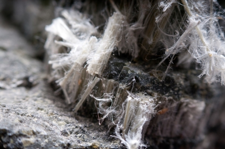 asbestos close up photo